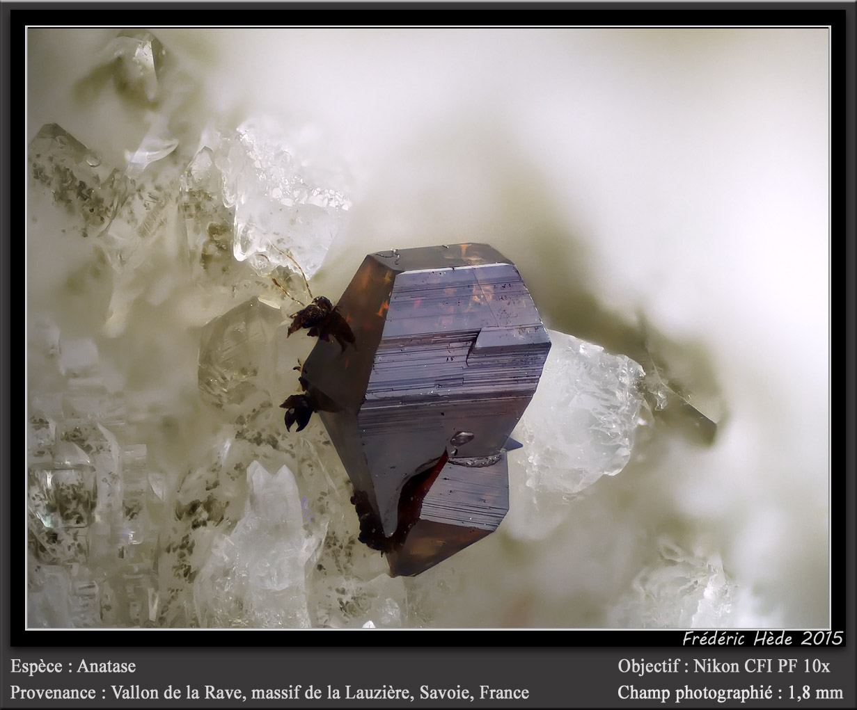 Anatase
fov 1.8 mm
(Autor: ploum)