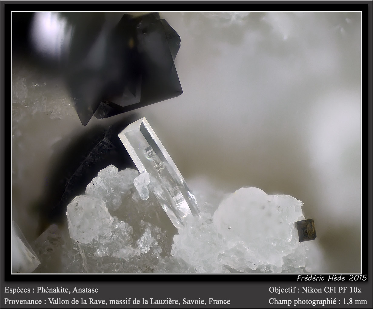Phenakite
fov 1.8 mm
(Autor: ploum)