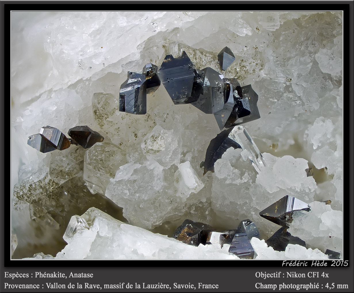 Phenakite and Anatase
fov 4.5 mm
(Autor: ploum)