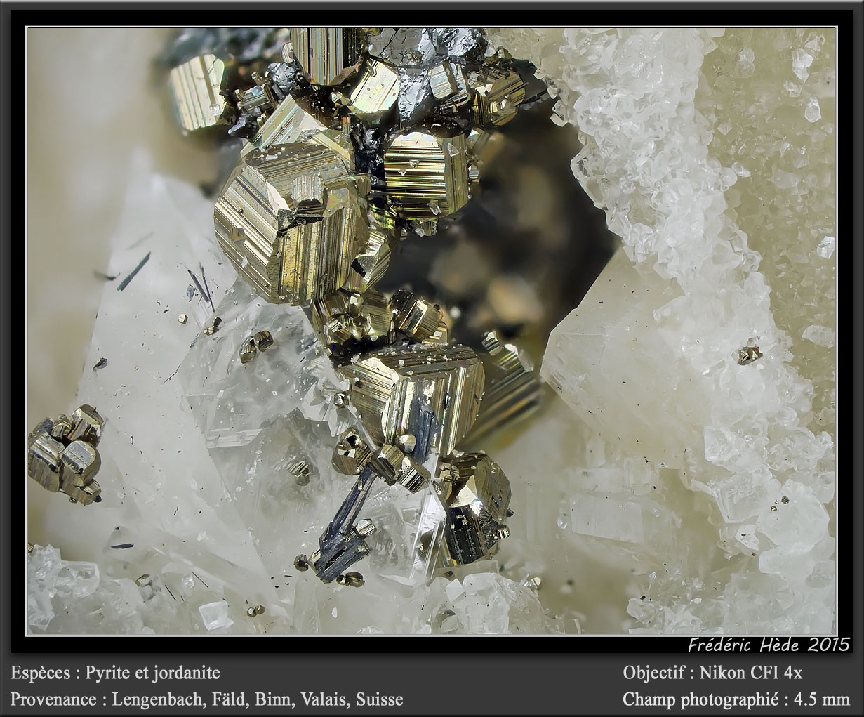 Pyrite and Jordanite
fov 4.5 mm
(Autor: ploum)