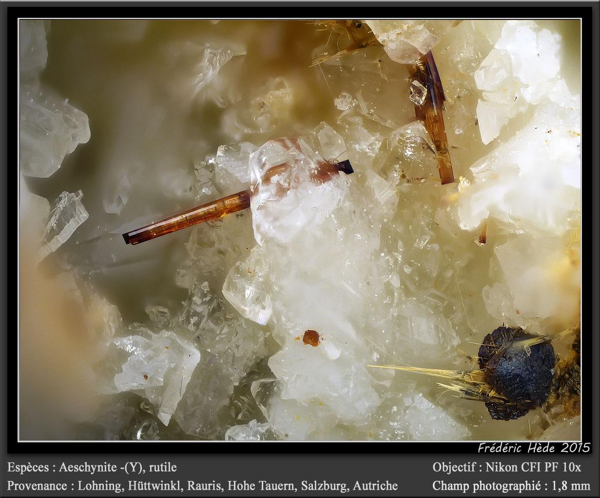 Aeschynite-(Y)
fov 1.8 mm
(Autor: ploum)