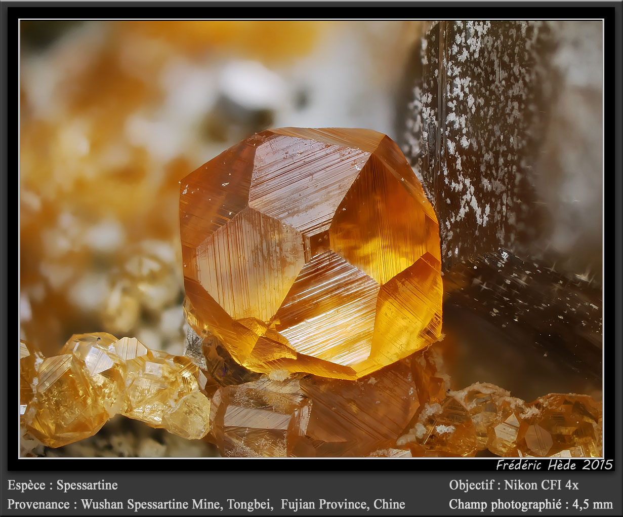 Spessartine
fov 4.5 mm
(Autor: ploum)