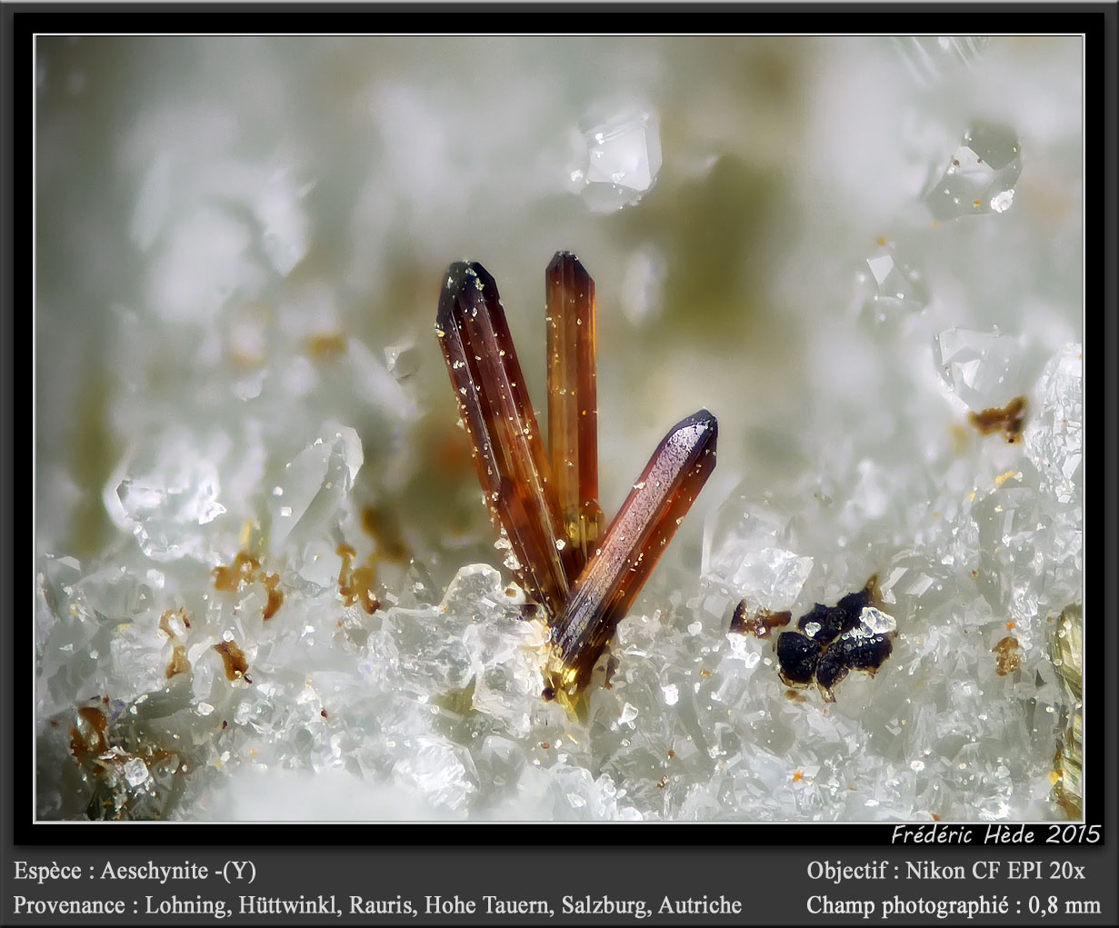 Aeschynite-(Y)
fov 0.8 mm
(Autor: ploum)