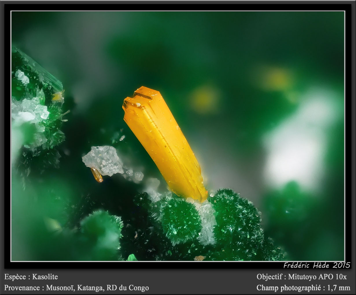 Kasolite
fov 1.7 mm
(Autor: ploum)