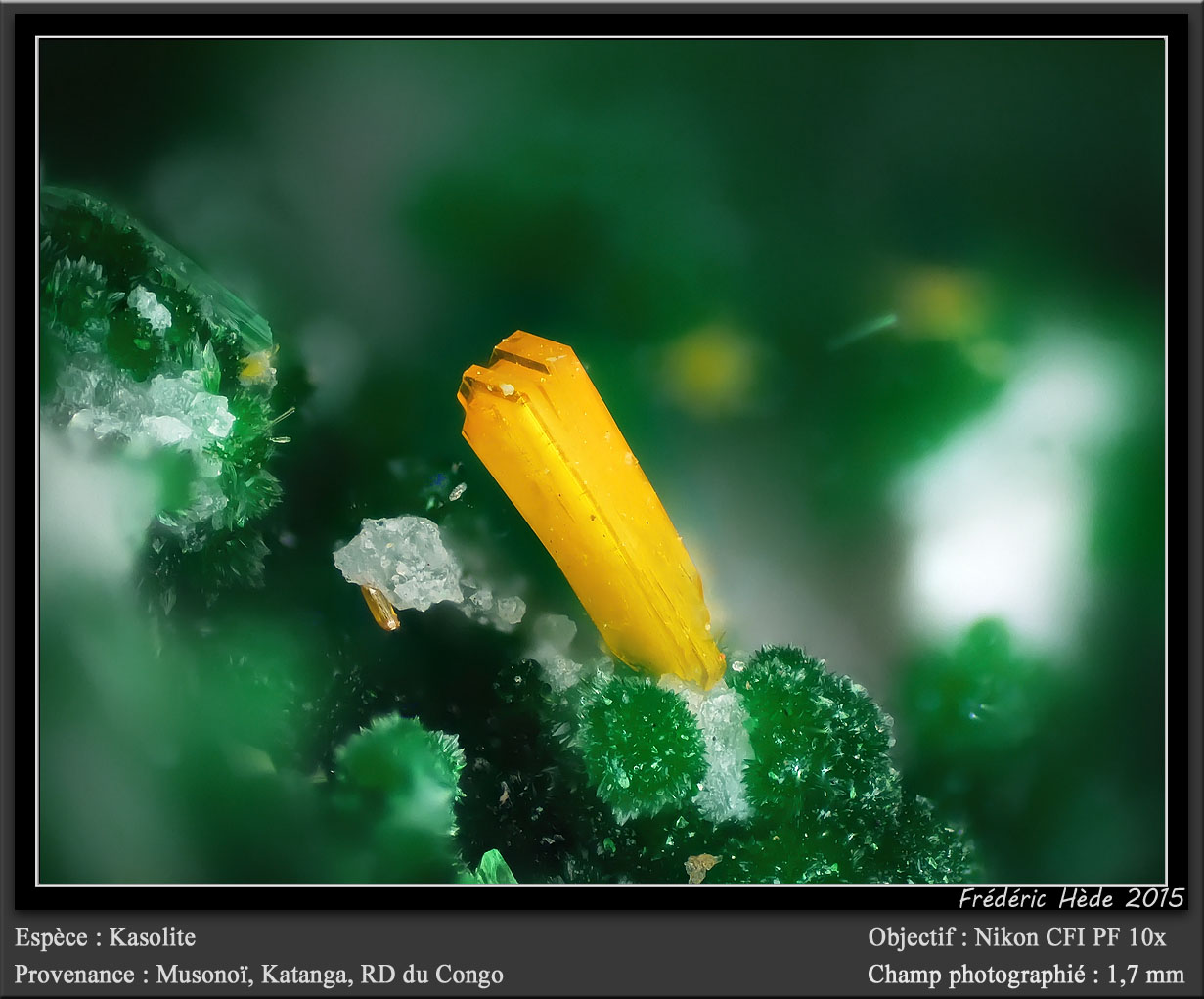 Kasolite
fov 1.7 mm
(Autor: ploum)