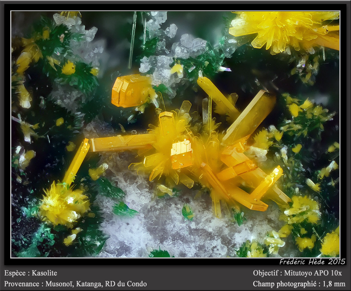 Kasolite
fov 1.8 mm
(Autor: ploum)