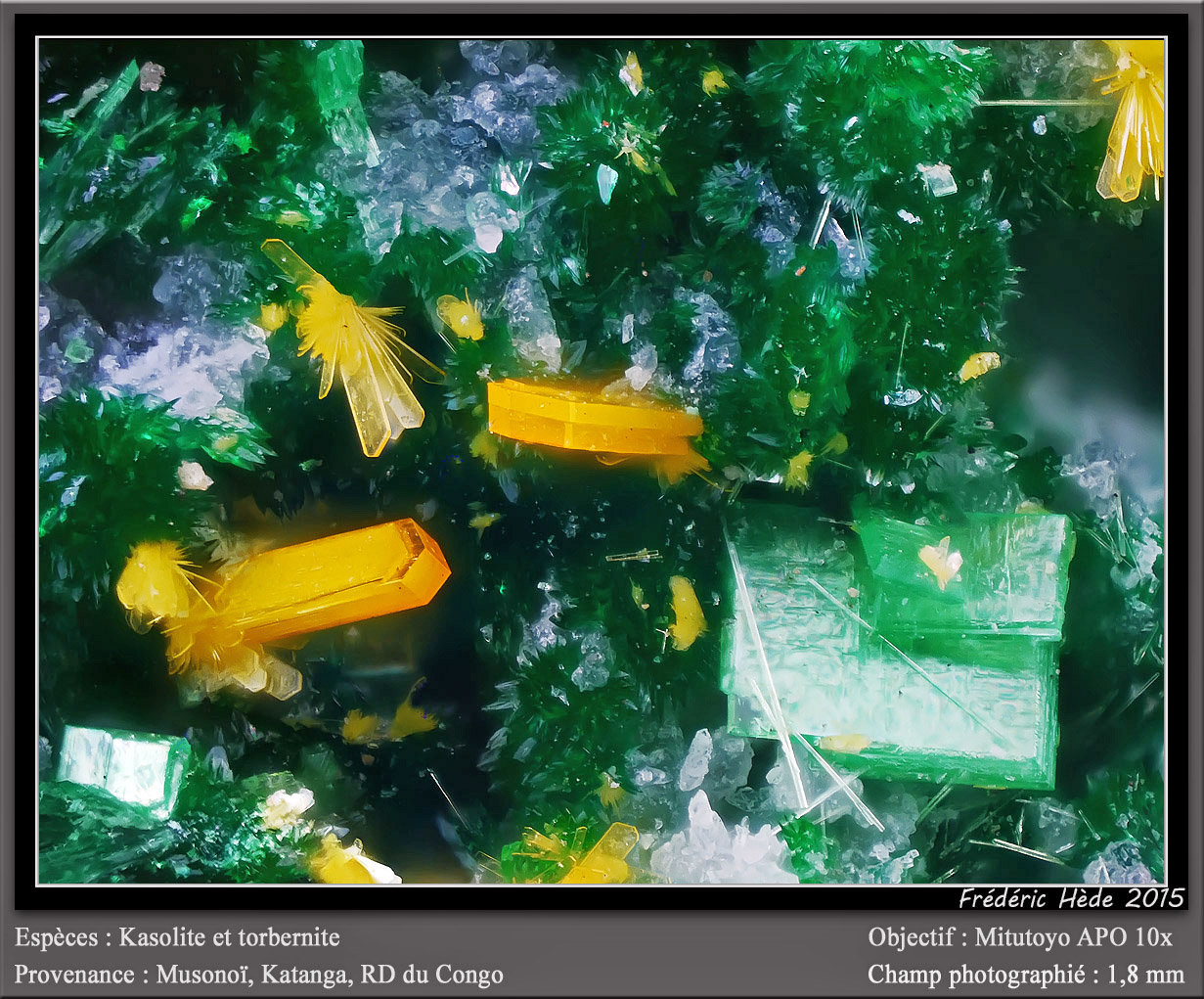 Kasolite and Torbernite
fov 1.8 mm
(Autor: ploum)