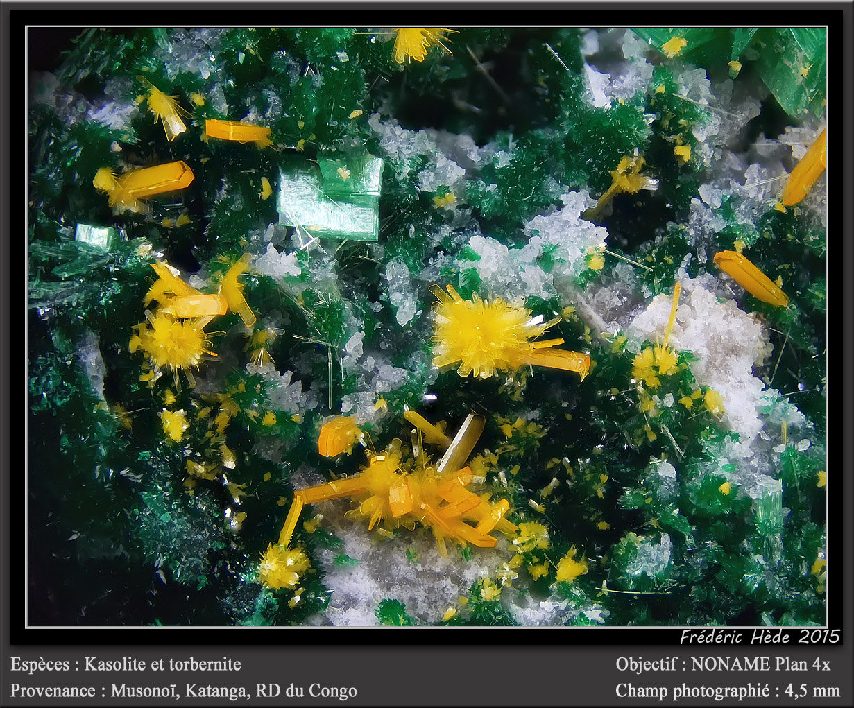 Kasolite and Torbernite
fov 4.5 mm
(Autor: ploum)