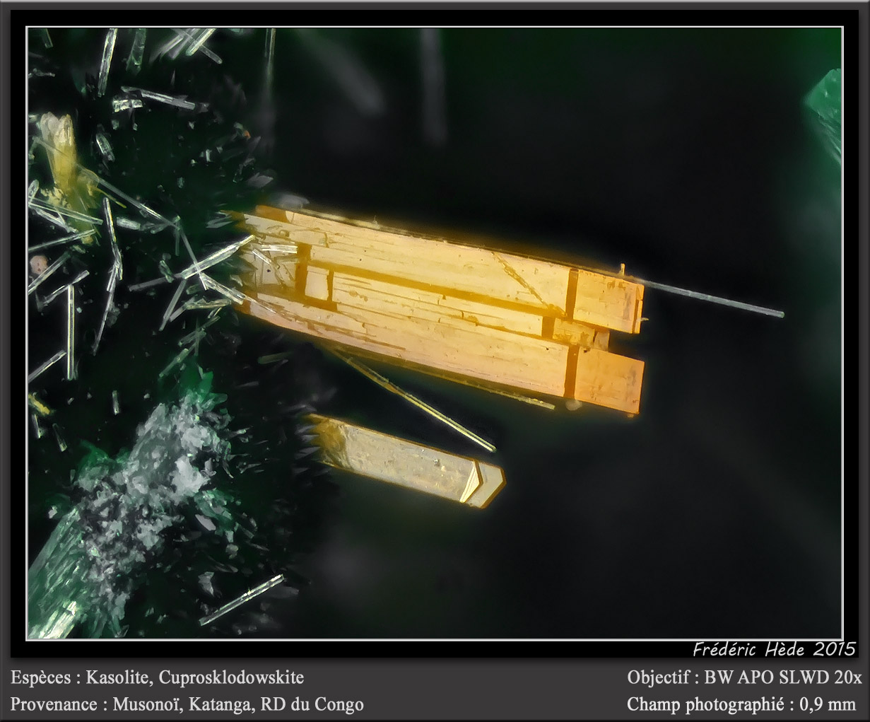 Kasolite
fov 0.9 mm
(Autor: ploum)