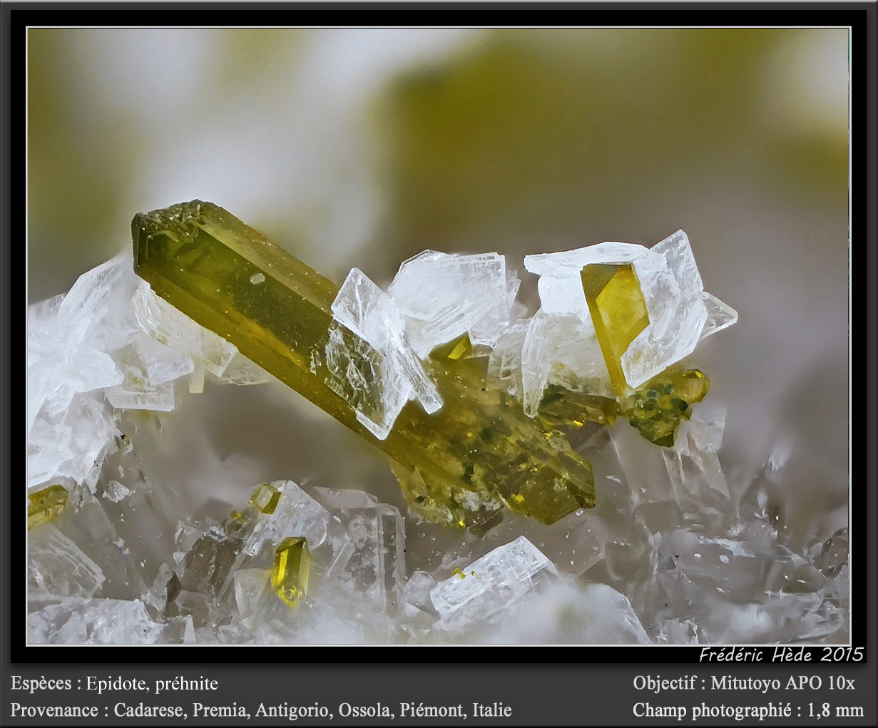 Epidote, Prehnite
fov 1.8 mm
(Autor: ploum)