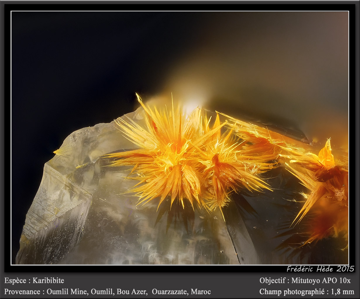 Karibibite
fov 1.8 mm
(Autor: ploum)