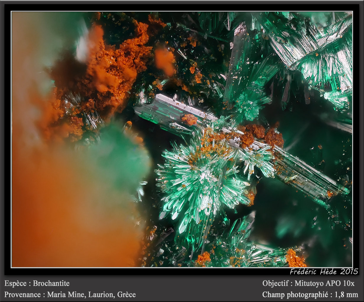 Brochantite
fov 1.8 mm
(Autor: ploum)