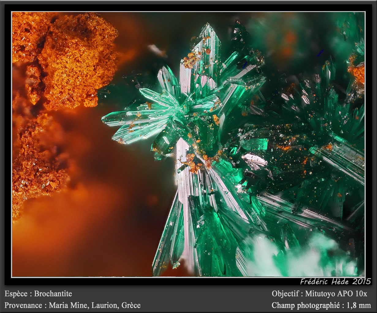Brochantite
fov 1.8 mm
(Autor: ploum)