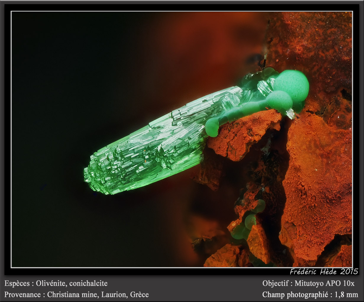 Olivenite and Conichalcite
fov 1.8 mm
(Autor: ploum)