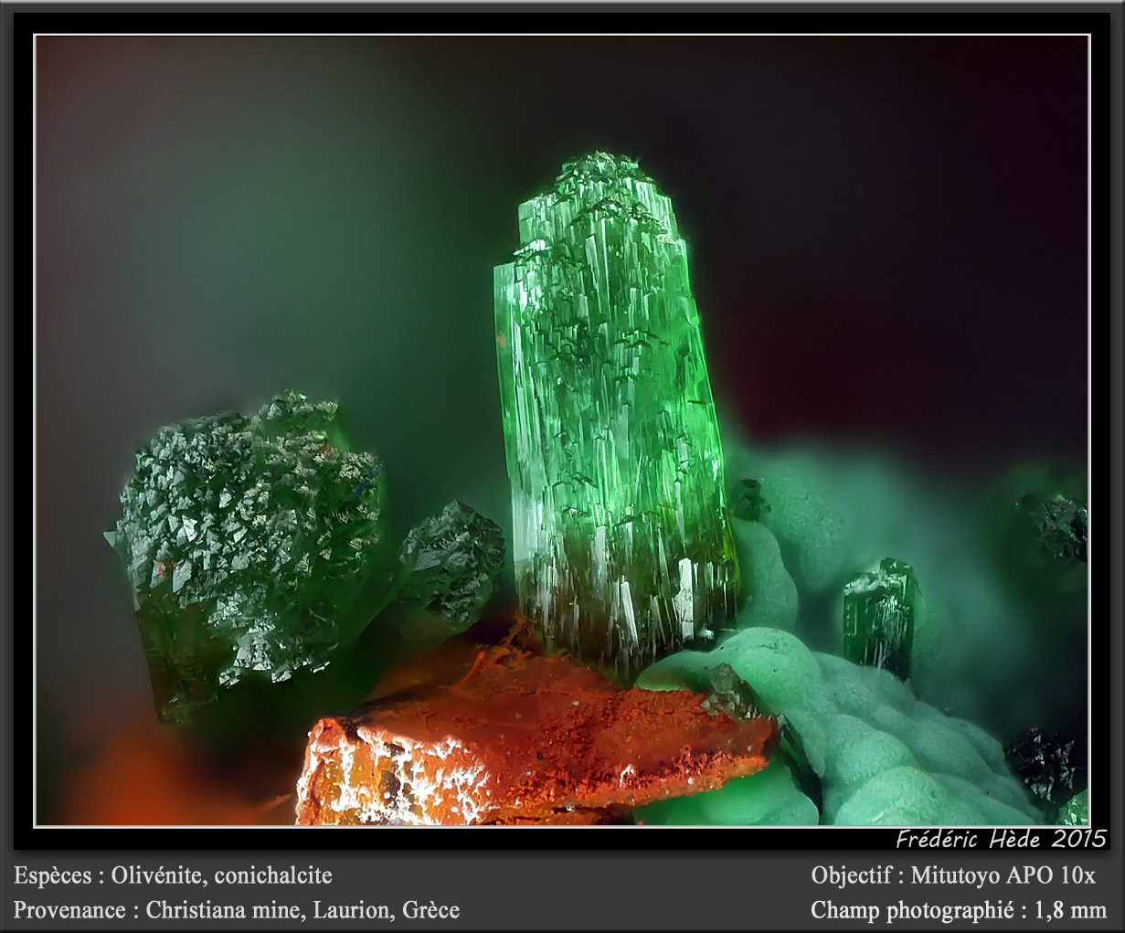 Olivenite and Conichalcite
fov 1.8 mm
(Autor: ploum)