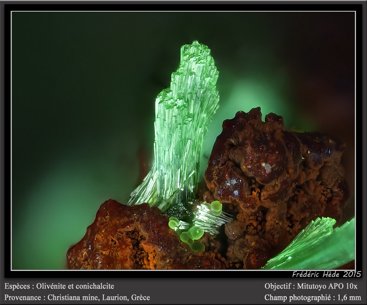 Olivenite and Con<br />{LOCALITAT}