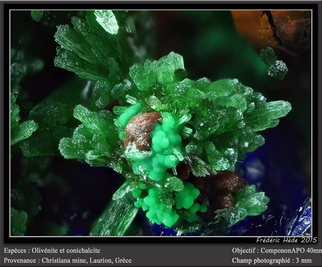 Olivenite and conichalcite
fov 3 mm
(Autor: ploum)