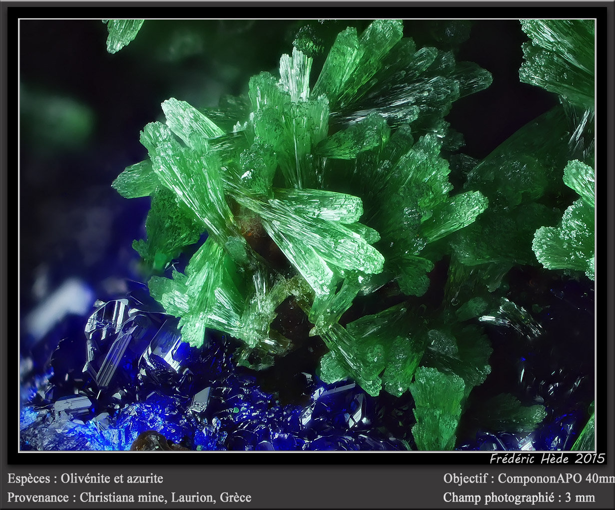 Olivenite and Azurite
fov 3 mm
(Autor: ploum)