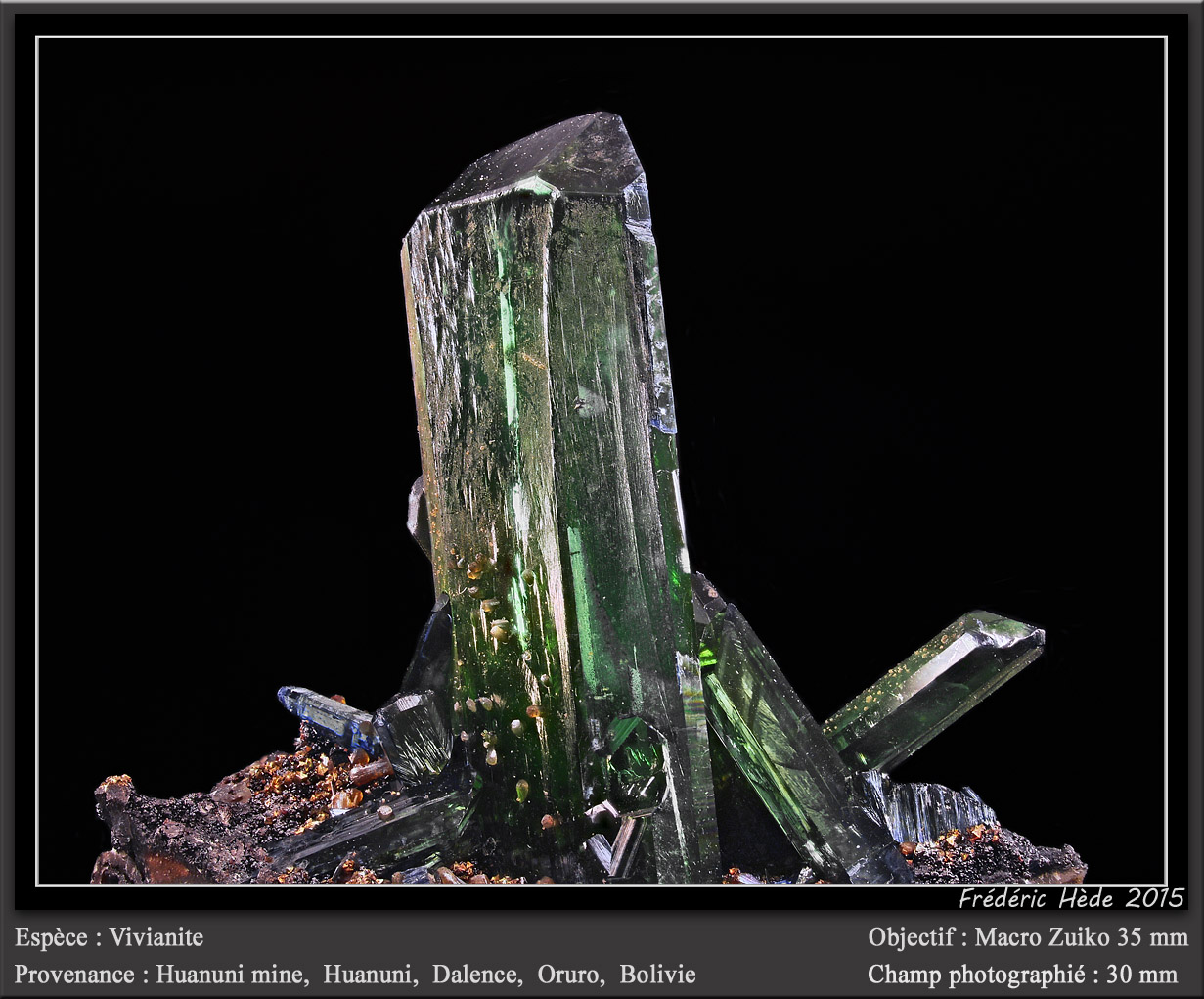 Vivianite
fov 30 mm
(Autor: ploum)