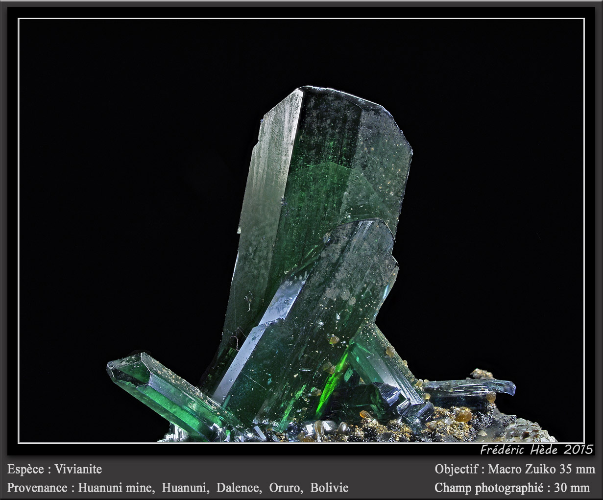 Vivianite
fov 30 mm
(Autor: ploum)