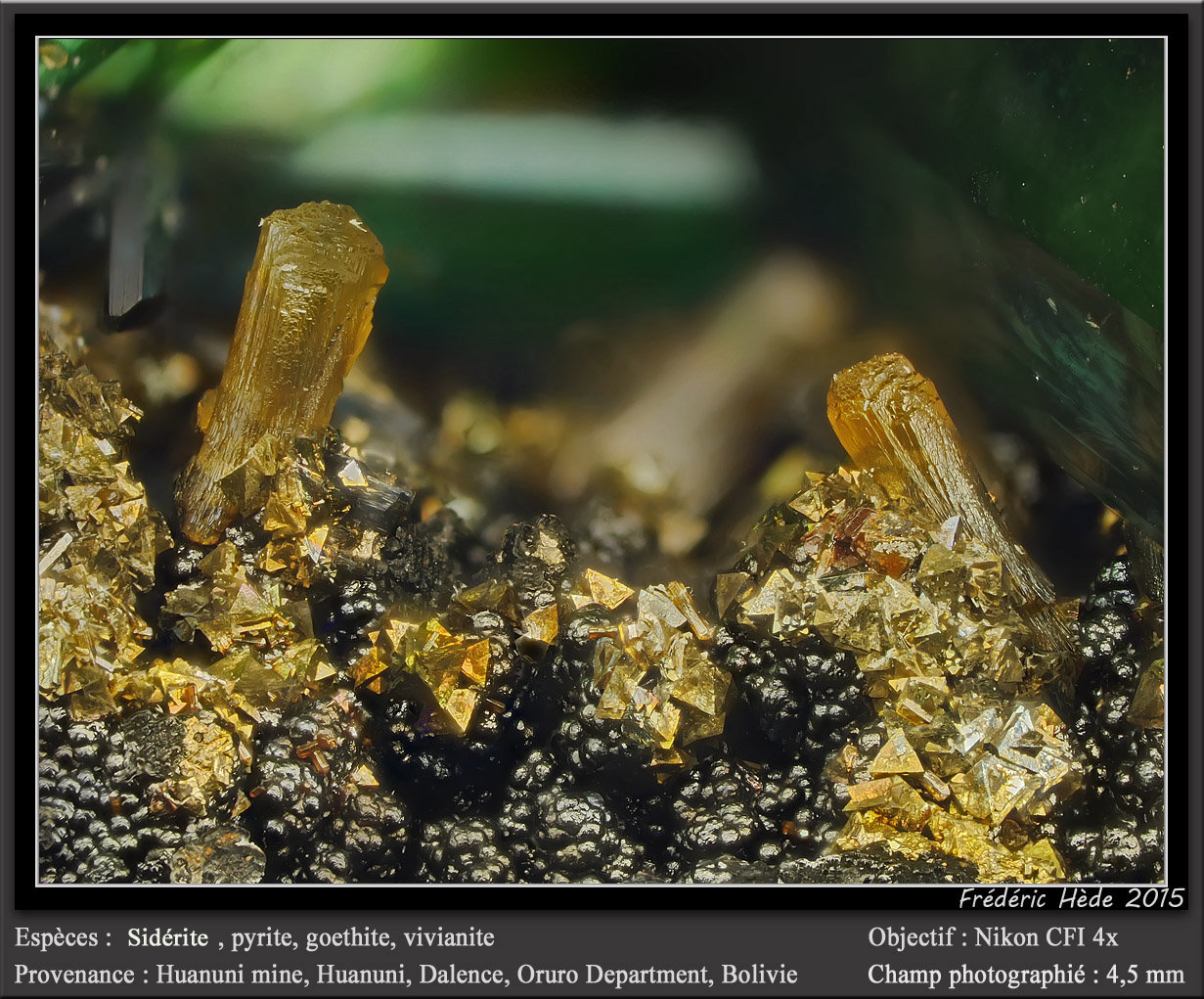 Siderite, Pyrite, Goethite and Vivianite
fov 4.5 mm
(Autor: ploum)