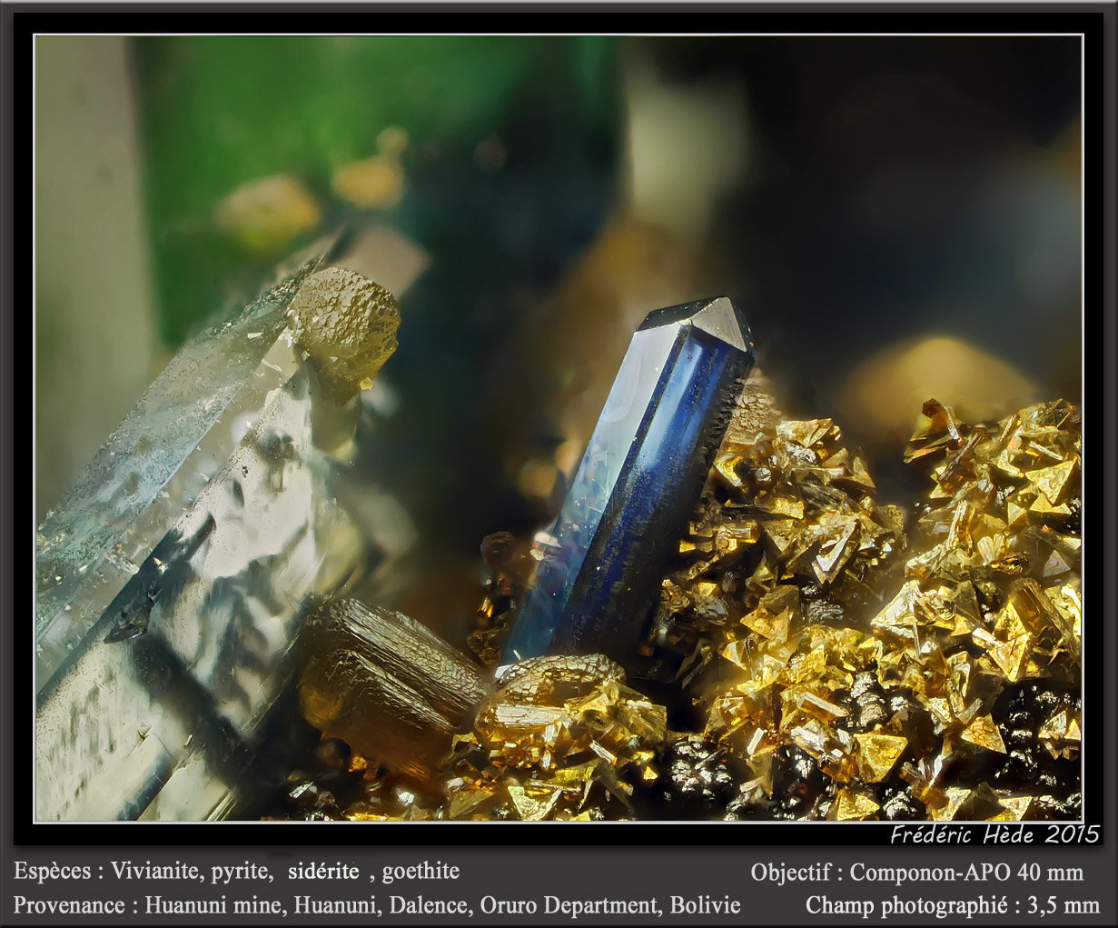 Vivianite, Pyrite, Siderite and Goethite
fov 3.5 mm
(Autor: ploum)