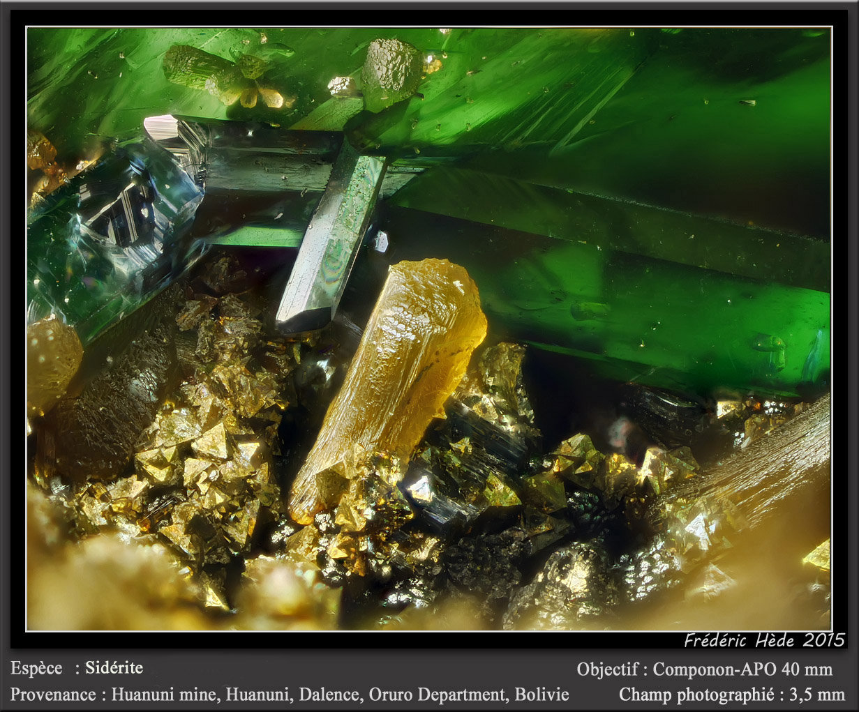 Siderite and Vivianite
fov 3.5 mm
(Autor: ploum)