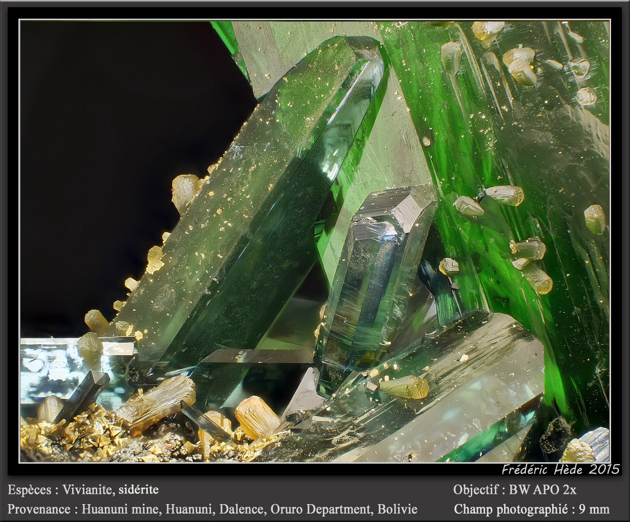 Vivianite and Siderite
fov 9 mm
(Autor: ploum)