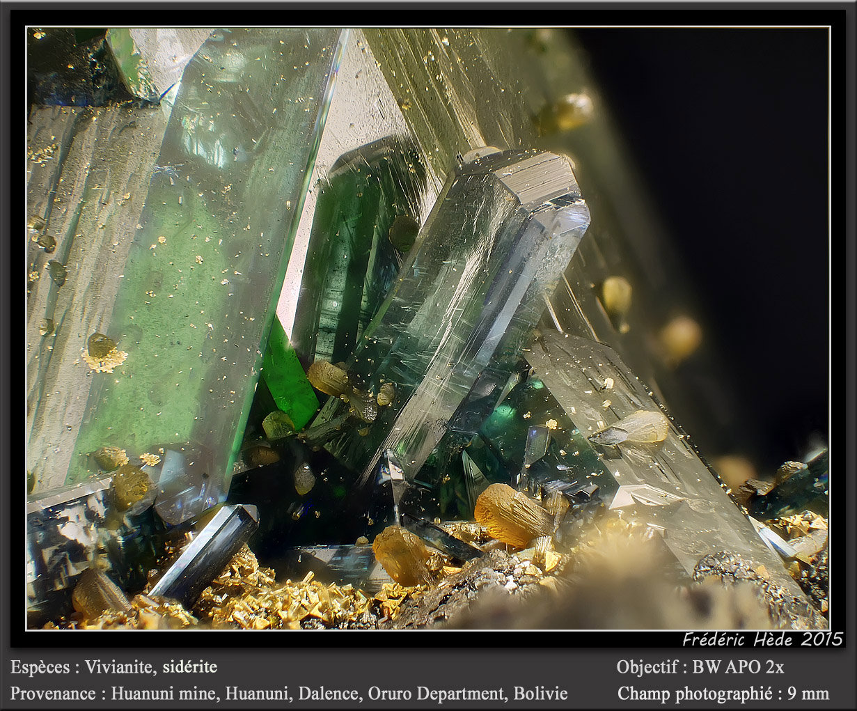 Vivianite and Siderite
fov  9 mm
(Autor: ploum)