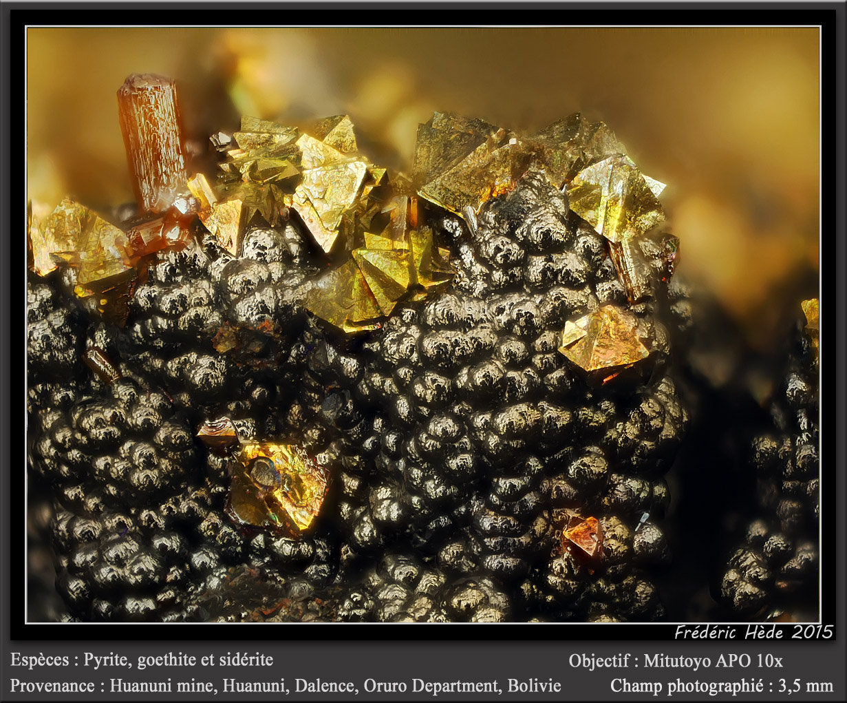 Pyrite, Goethite and Siderite
fov 1.8 mm
(Autor: ploum)