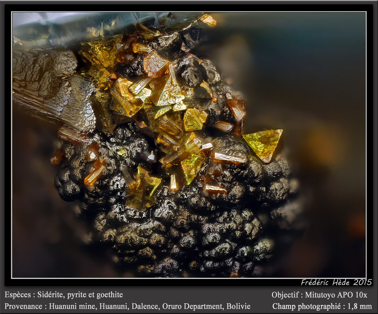 Siderite, Pyrite and Goethite
fov 1.8 mm
(Autor: ploum)