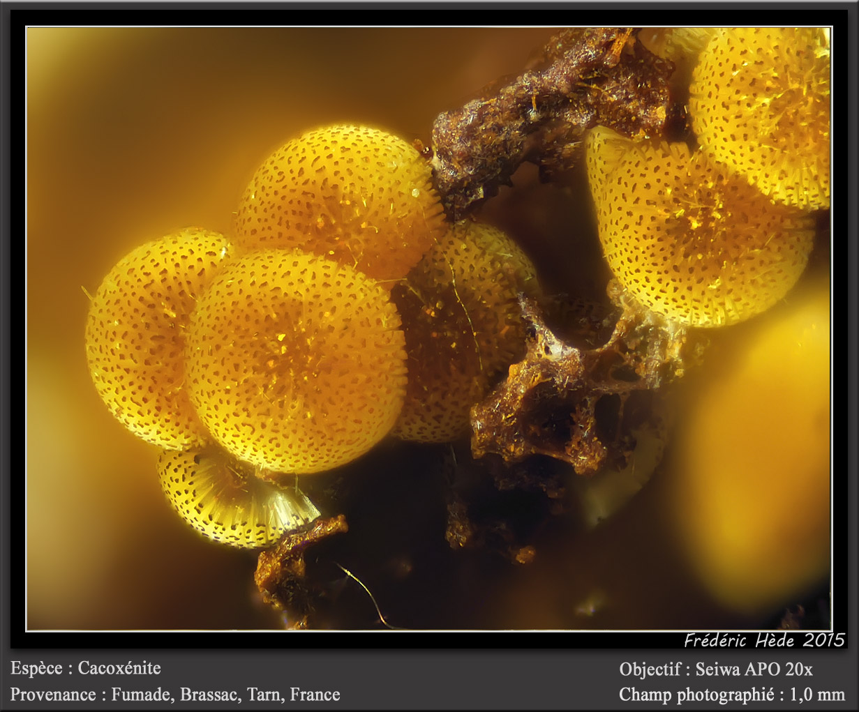 Cacoxenite
fov 1 mm
(Autor: ploum)