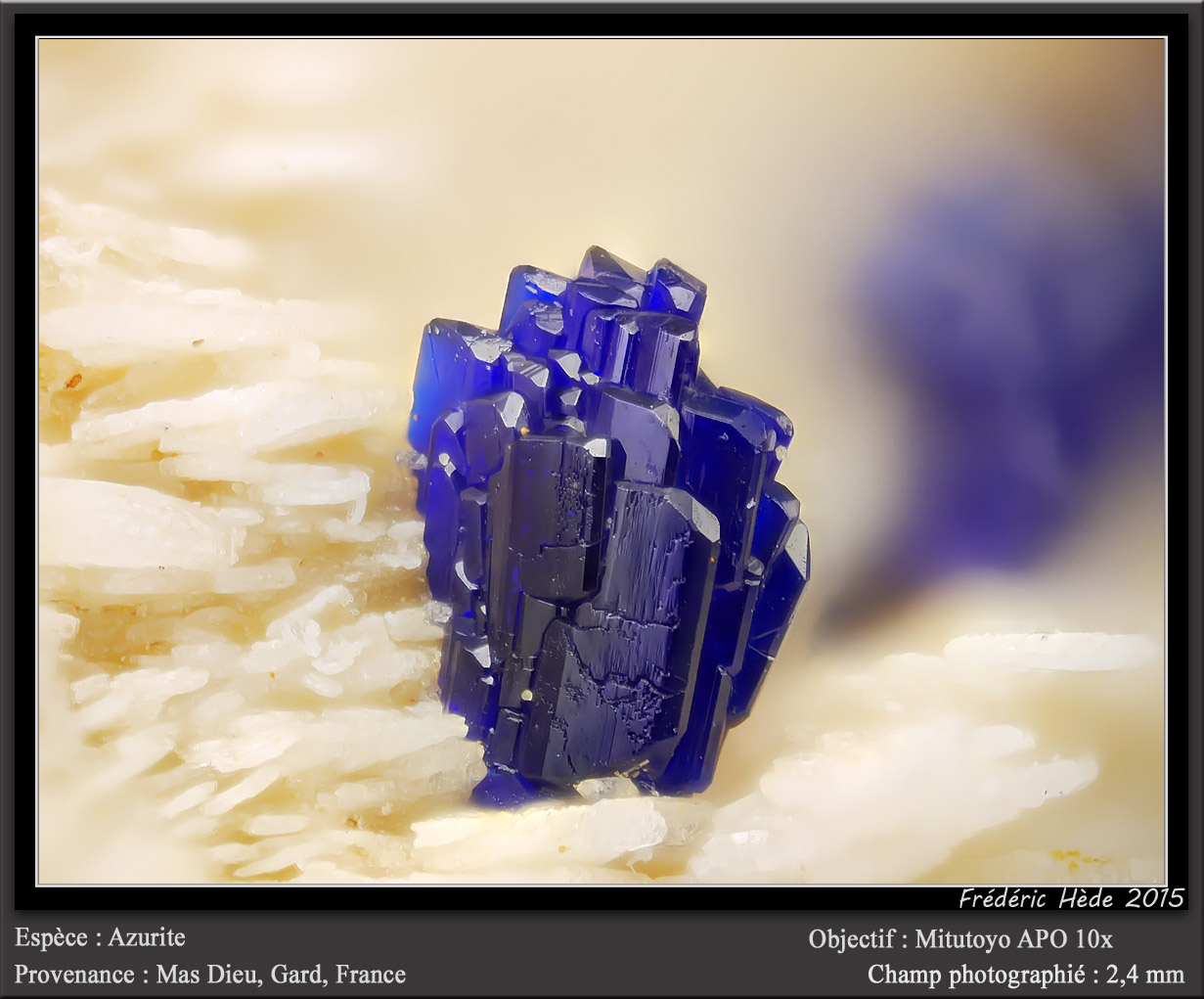 Azurite on Barite
fov 2.5 mm
(Autor: ploum)