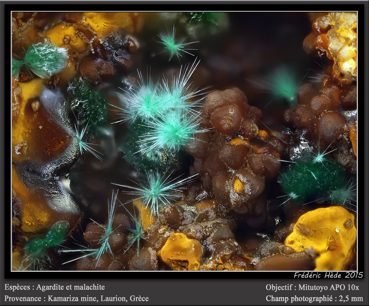 Agardite on Malachite
fov 2.5 mm
(Autor: ploum)