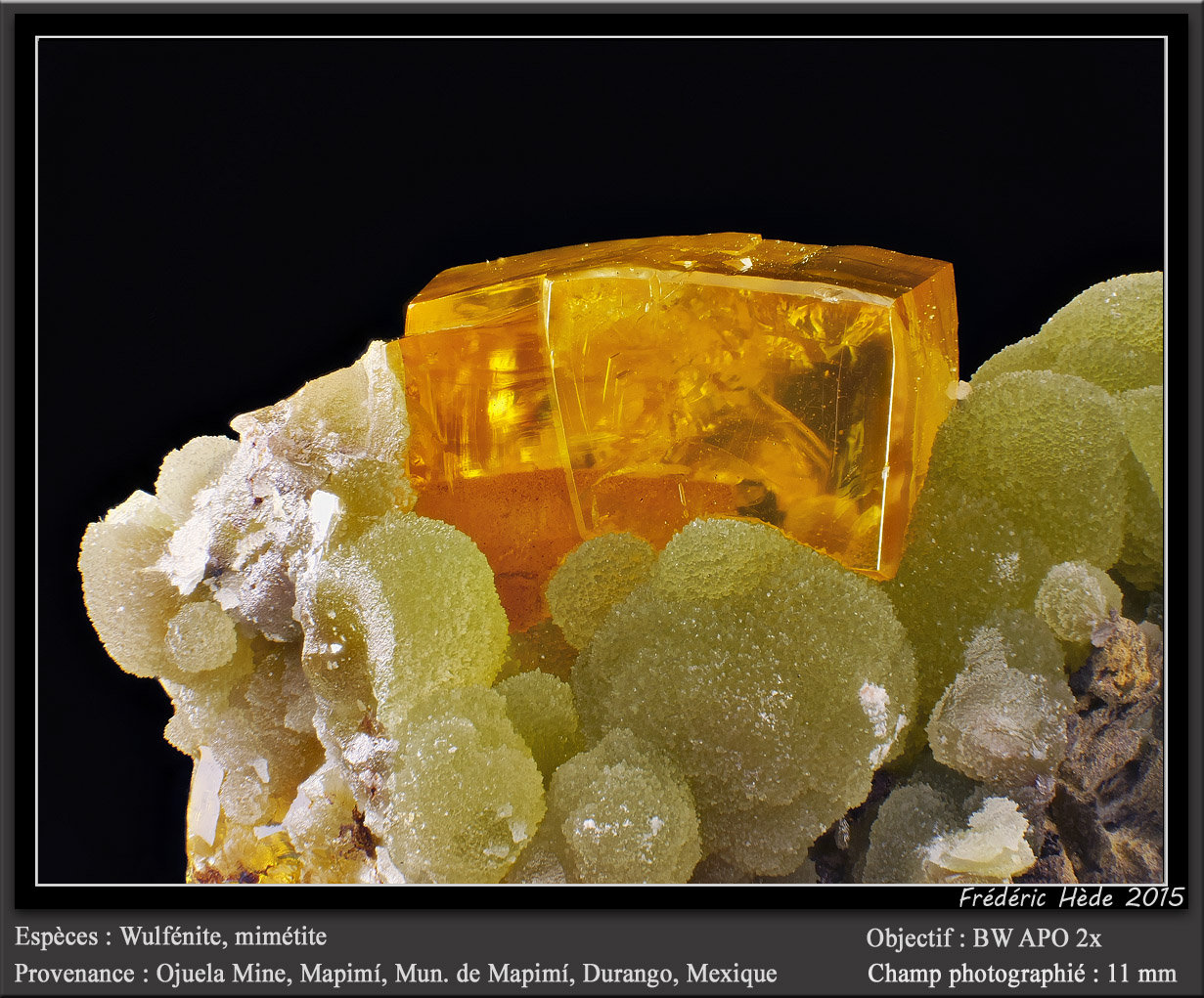 Wulfenite on Mimetite
fov 11 mm
(Autor: ploum)