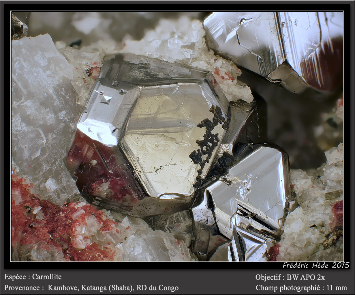 Carrollite on Calcite
fov 11 mm
(Autor: ploum)