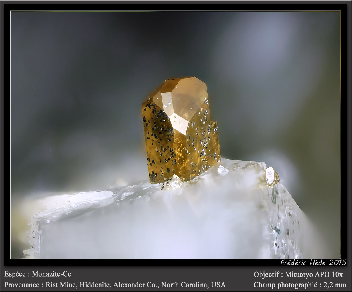 Monazite-(Ce)
fov 2.2 mm
(Autor: ploum)