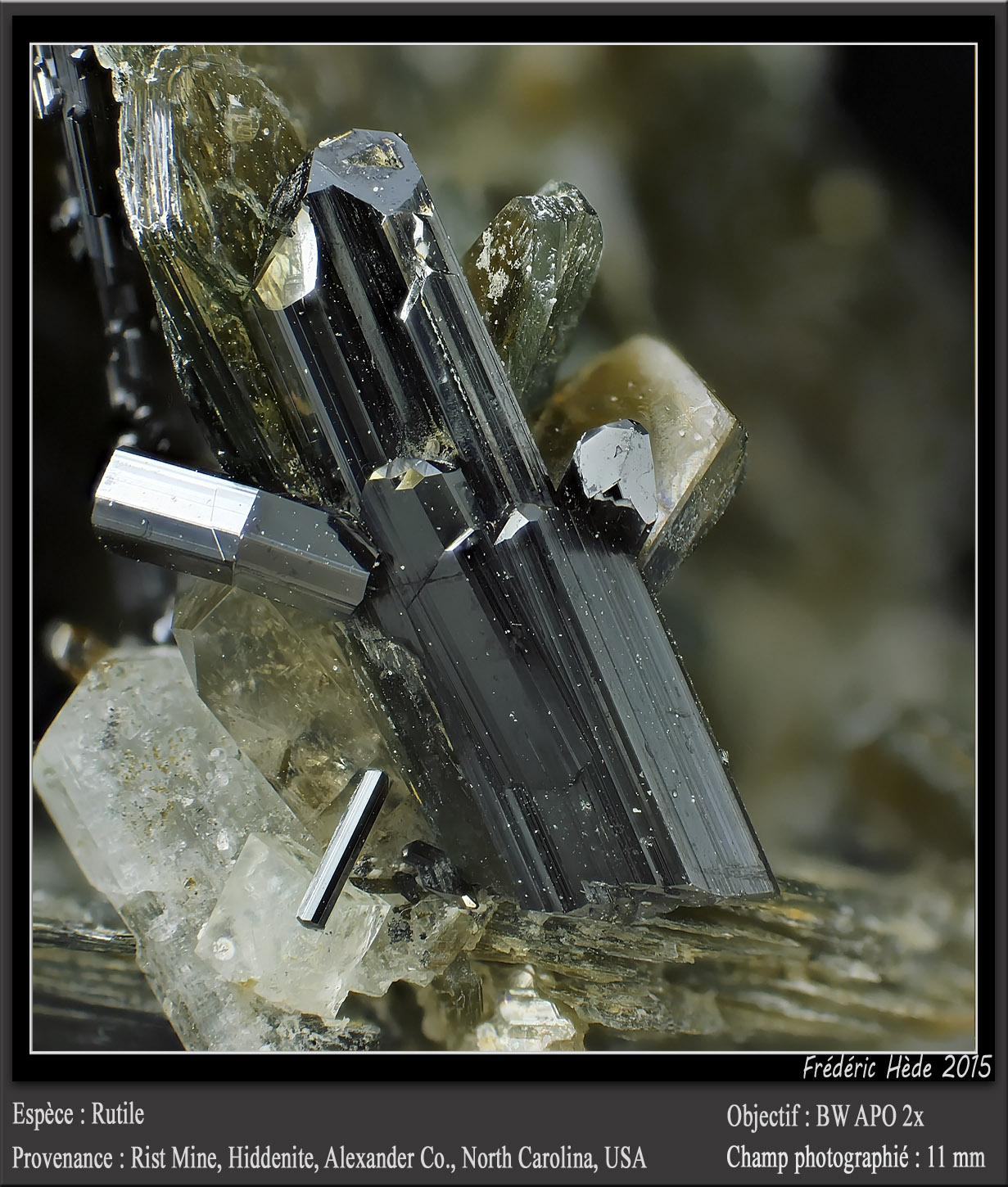 Rutile on Muscovite
fov 11 mm
(Autor: ploum)