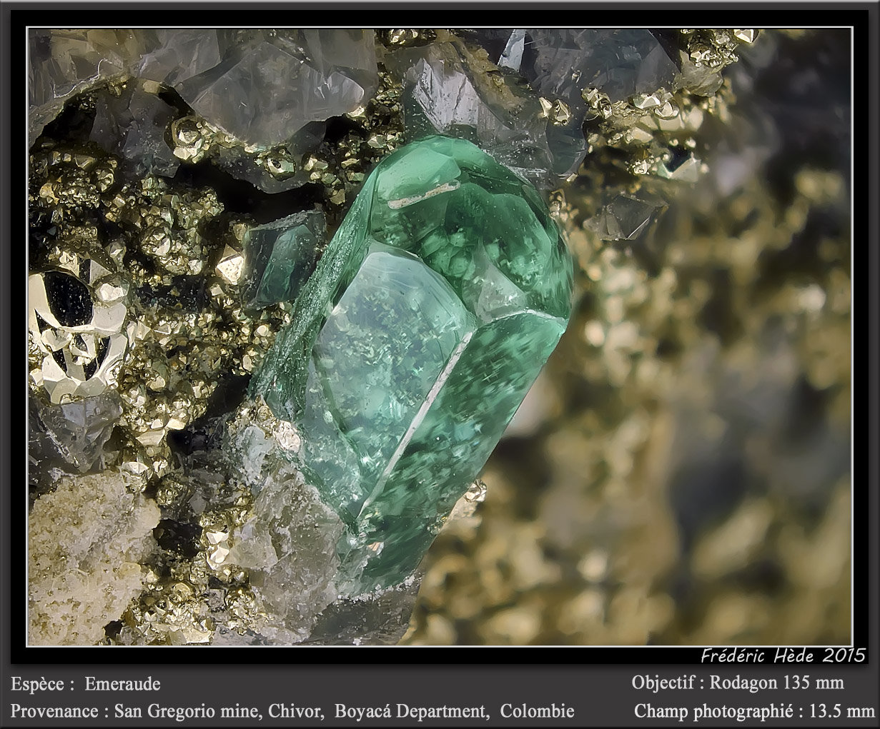 Beryl (variety emerald)
fov 13.5 mm
(Autor: ploum)