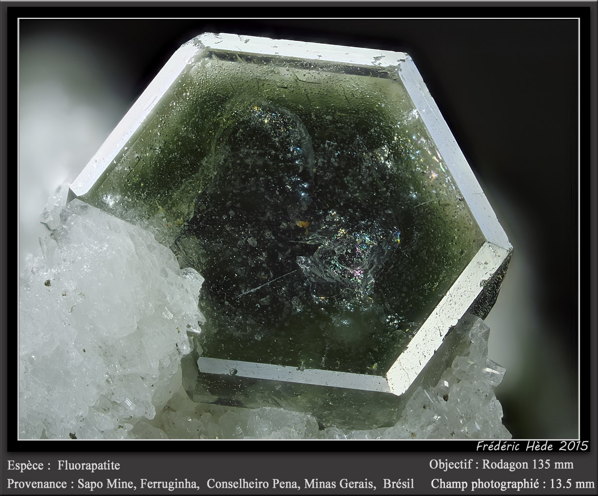 Fluorapatite (Apatite Group)
fov 13.5 mm
(Autor: ploum)