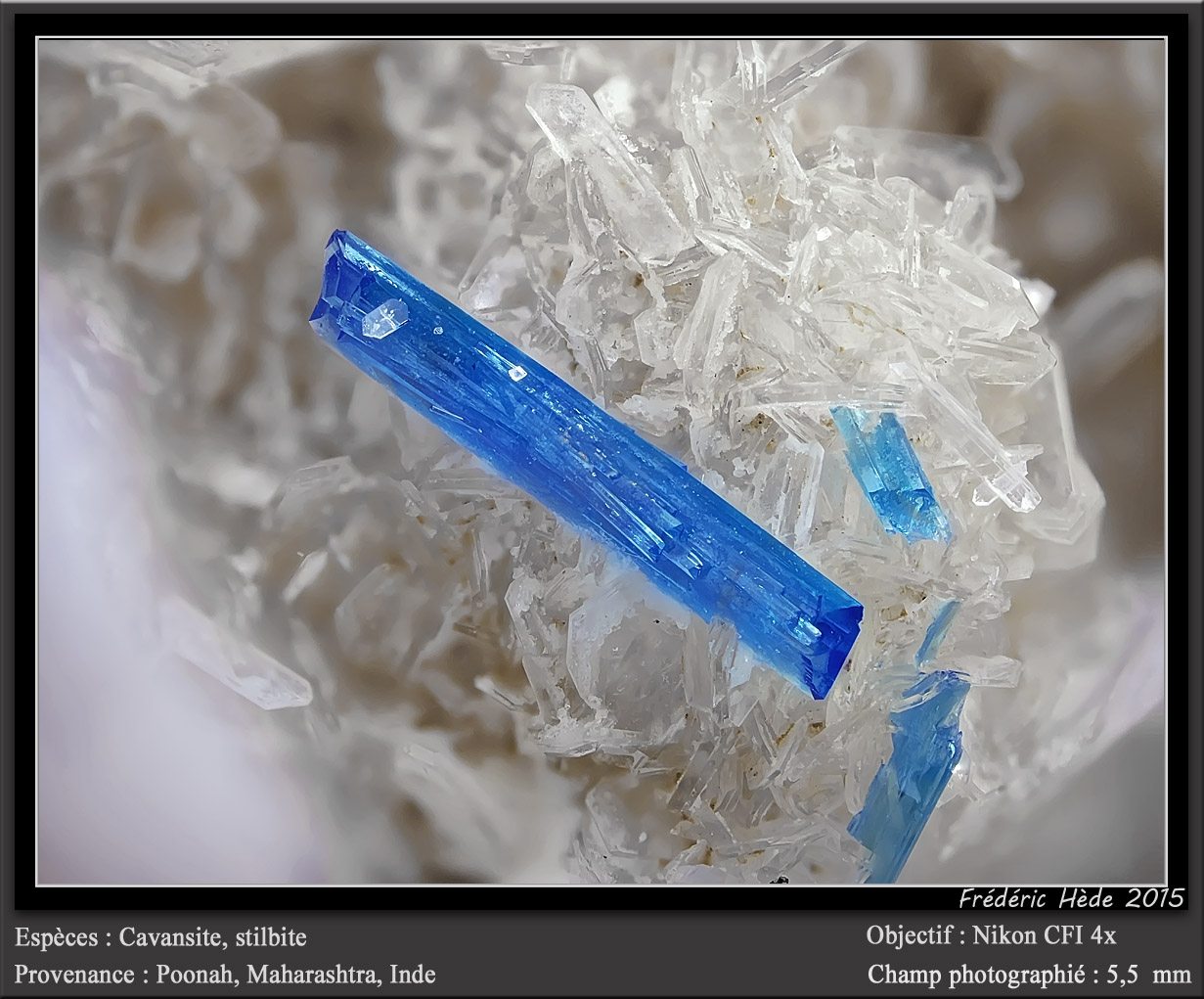 Cavansite on Stilbite
fov 5.5 mm
(Autor: ploum)