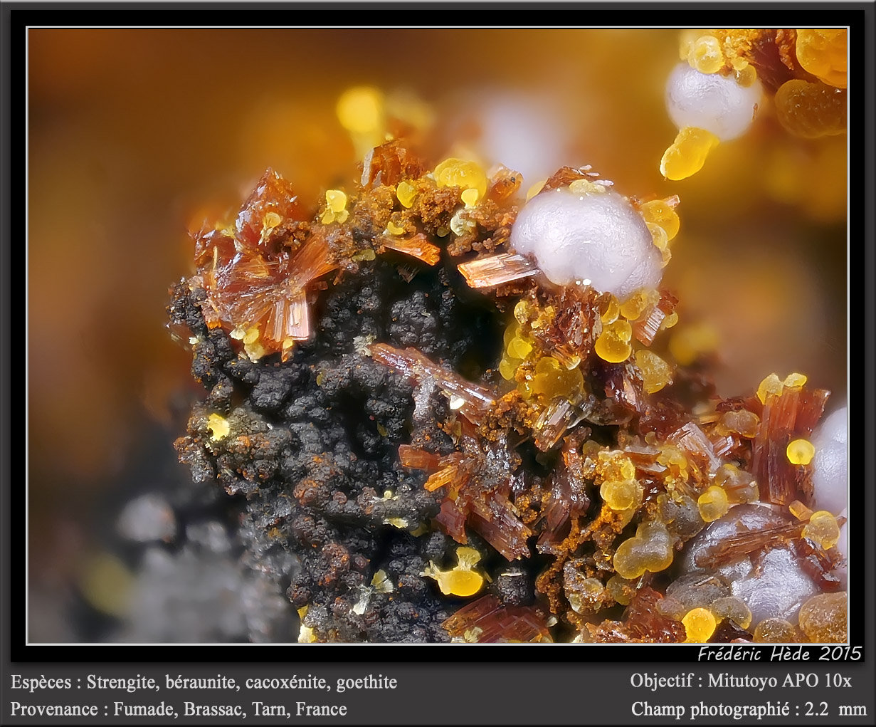 Strengite, Beraunite and Cacoxenite
fov 2.2 mm
(Autor: ploum)