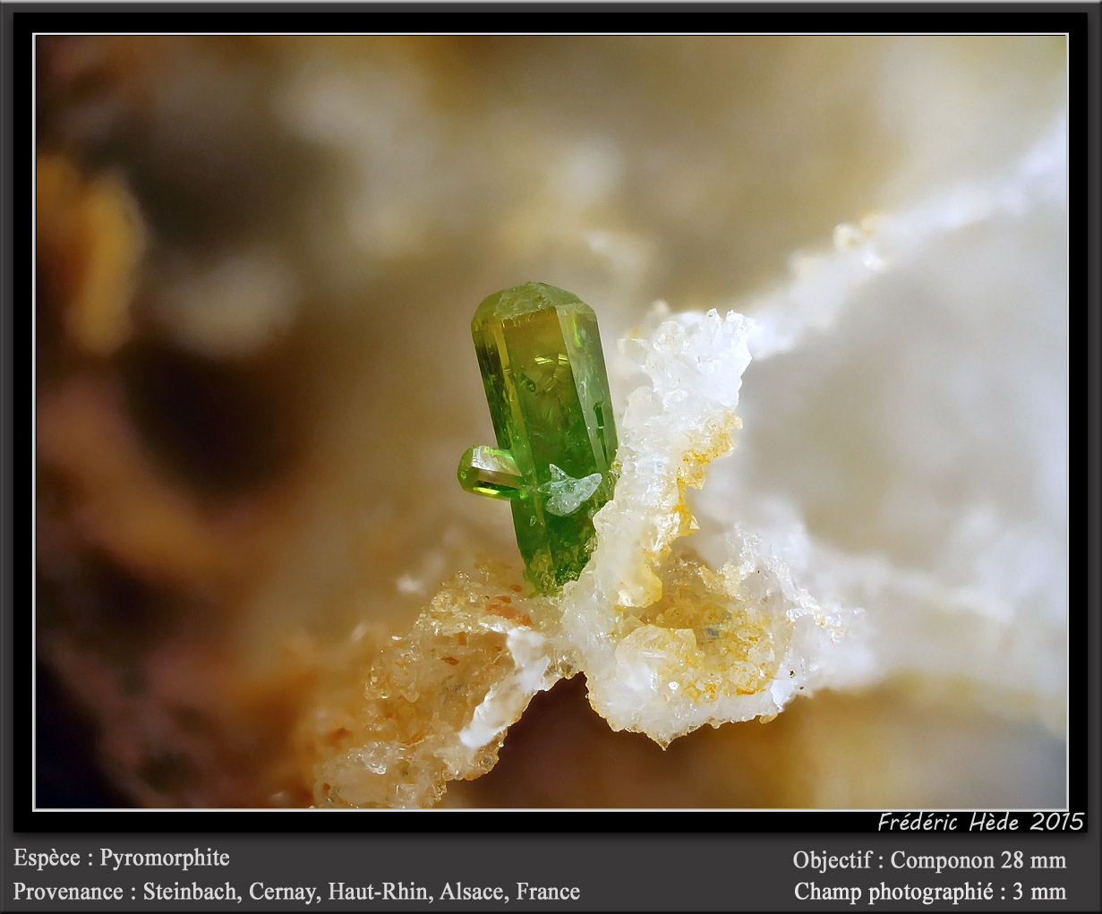 Pyromorphite
fov 3 mm
(Autor: ploum)