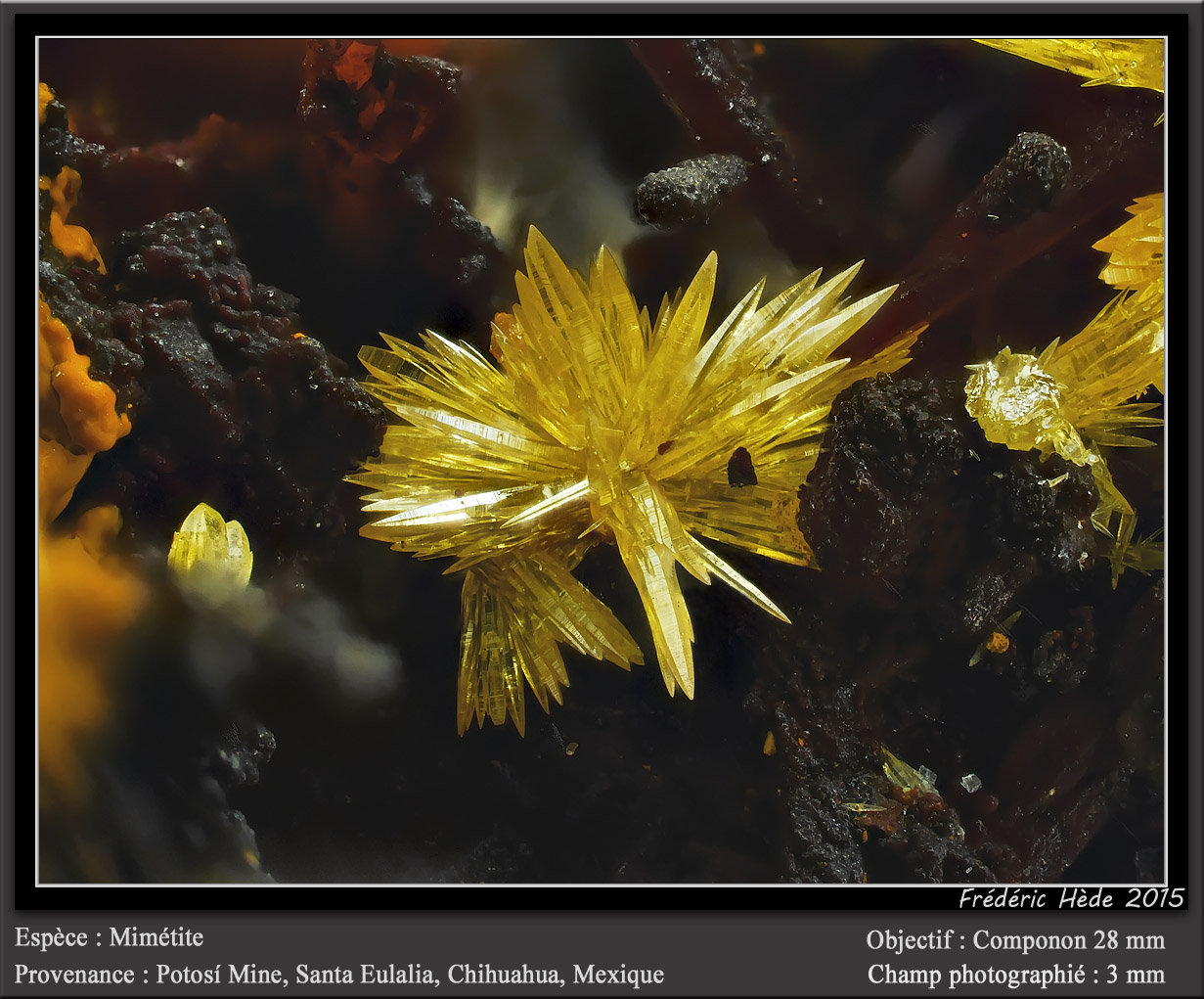 Mimetite
fov 3 mm
(Autor: ploum)