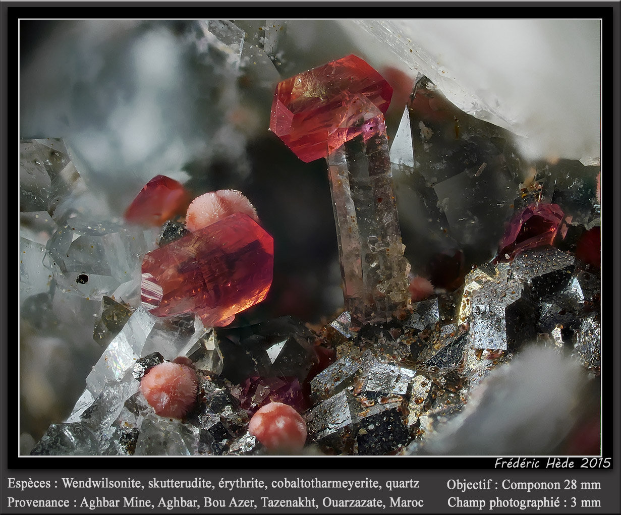 Wendwilsonite, Erythrite, Skutterudite, Cobaltlotharmeyerite, Quartz
fov 3 mm
(Autor: ploum)