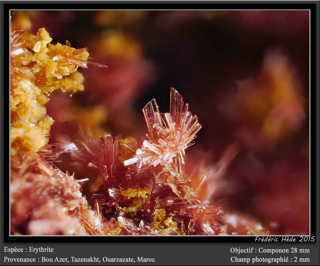 Erythrite
fov 2 mm
(Autor: ploum)