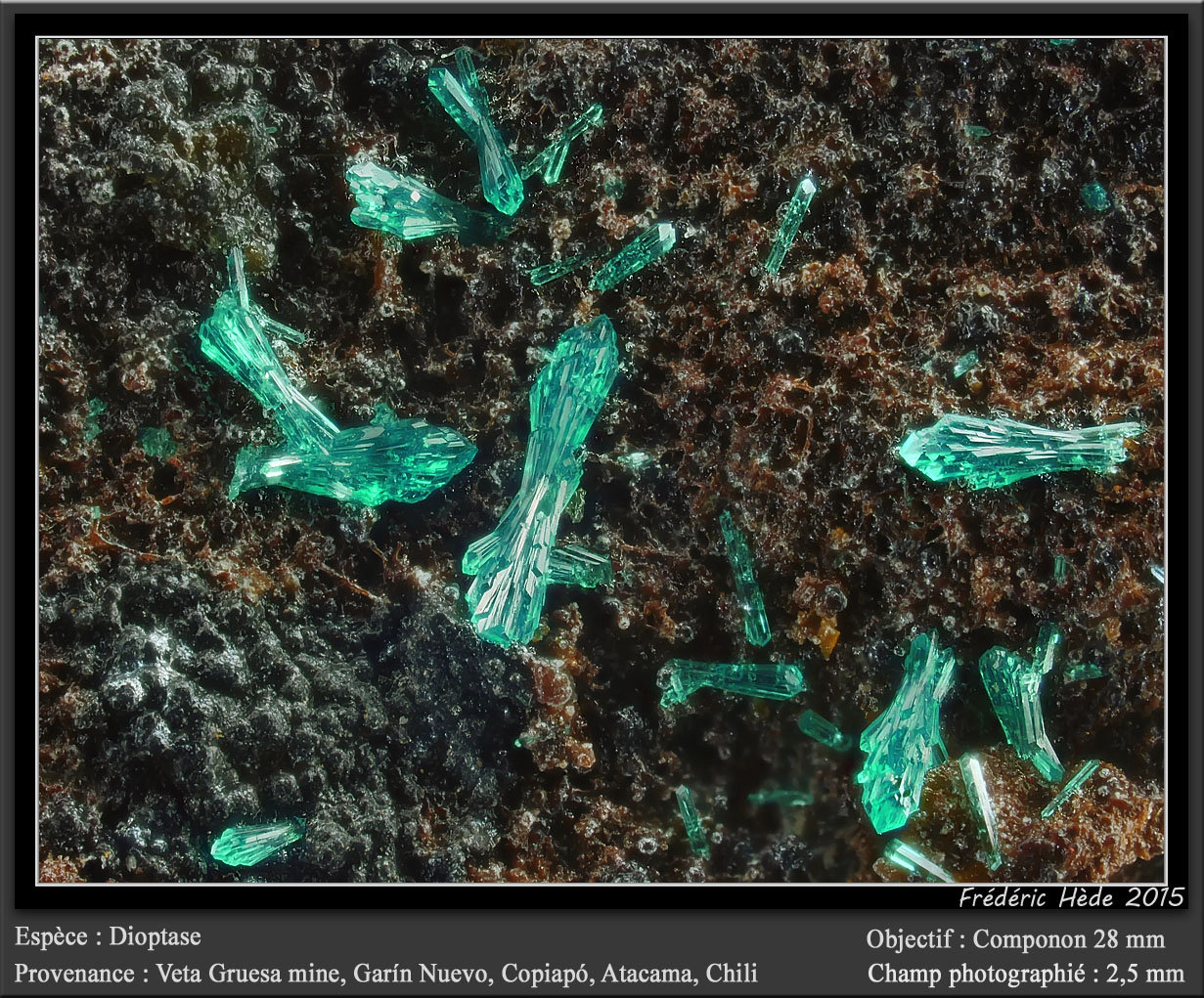 Dioptase
fov 2.5 mm
(Autor: ploum)