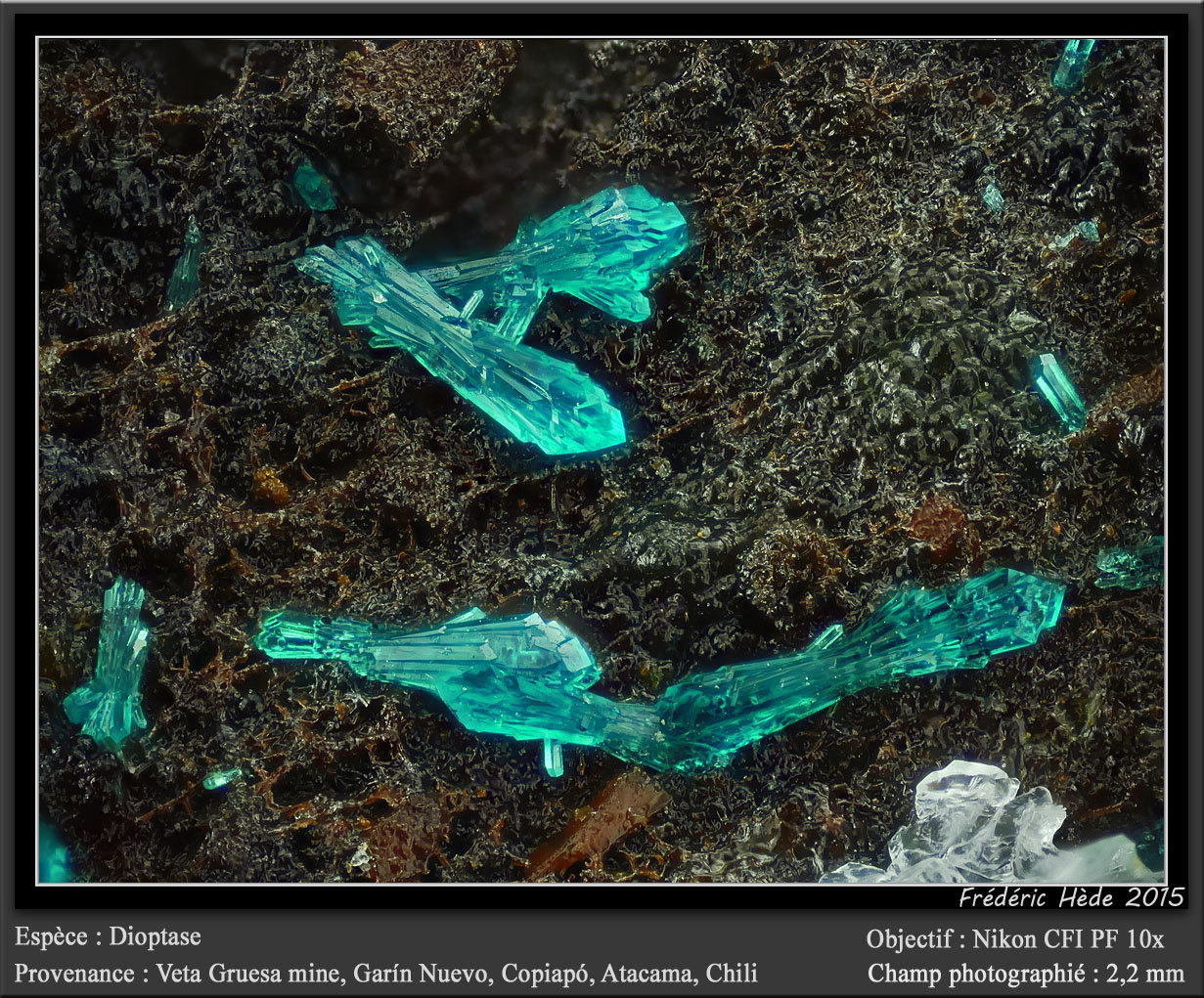 Dioptase
fov 2.2 mm
(Autor: ploum)