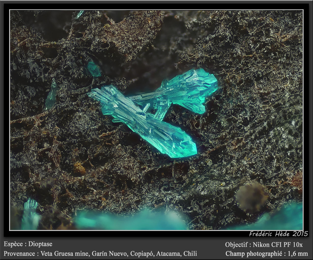 Dioptase
fov 1.6 mm
(Autor: ploum)