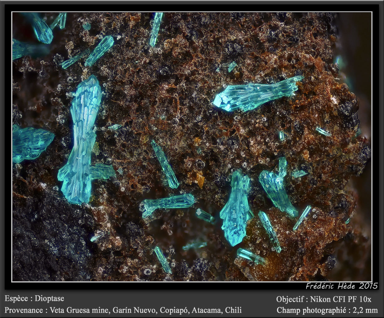 Dioptase
fov 2.2 mm
(Autor: ploum)
